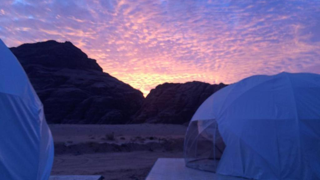 Oryx Camp Hotel Wadi Rum Exterior photo